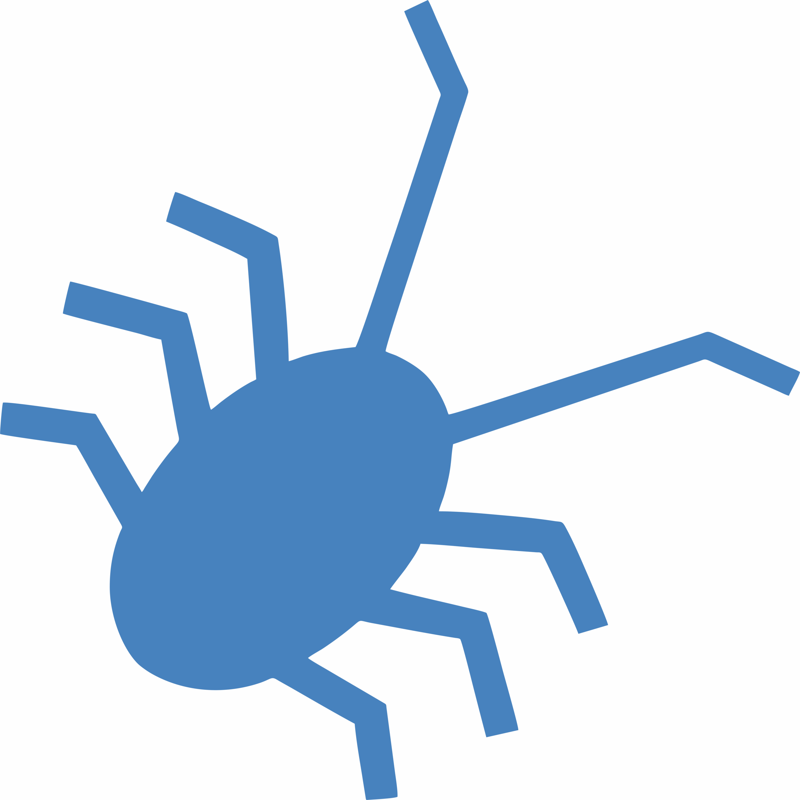 Wiodący producent terrariów w Polsce